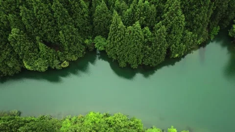 Aerial drone view of a serene emerald lake surrounded by dense evergreen forest Stock Footage 341950214