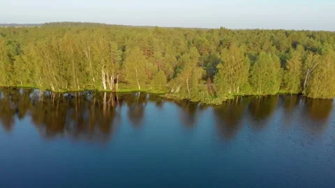 Aerial Drone View of a Serene Forest Lake in the Lithuanian Countryside with Lus Video stock 321759056