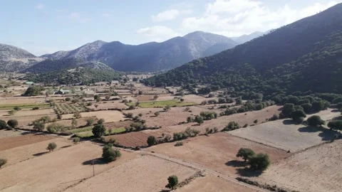 Aerial drone view of the sheep, cattle grazing on farm pasture in Greek valley Video stock 168255124