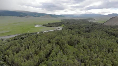 Aerial drone view shows Mongolian forest meadow - River Channel and Green Field Stock Footage 339709391