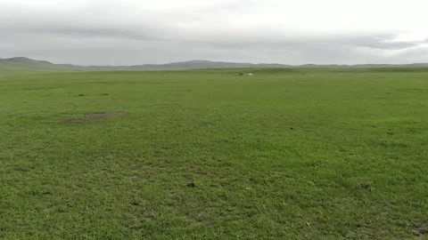 Aerial drone view shows vast green Mongolian steppe - Wide Plains and Yurt Tent Stock Footage 339700425