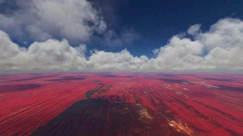 Aerial drone view of the Simpson Desert Northern Territory. Australia Stock-Footage 249868947