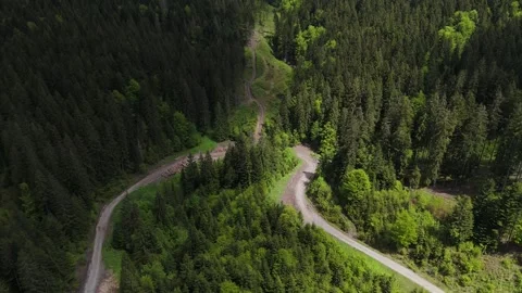 Aerial Drone View: Slow Flight Over Forest Road Stock-Footage 313594820