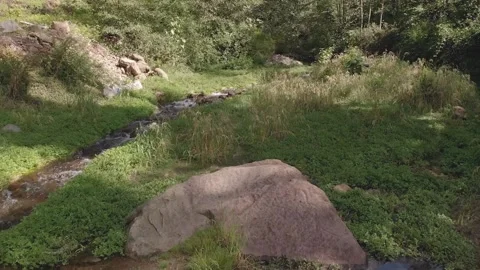 Aerial. Drone view of a small mountain stream flowing down from the mountain. HD Stock Footage 139108943