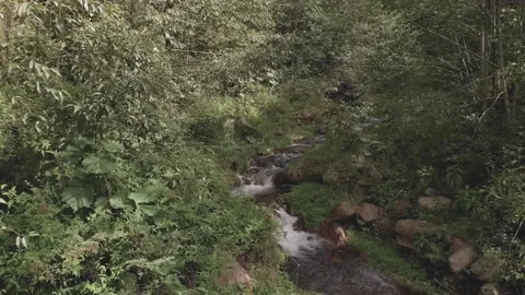 Aerial. A drone view of a small stream flowing down from the mountain. HD Stock Footage 139109204