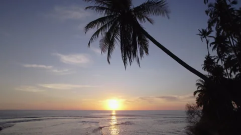 Aerial drone view of small tropical island in the middle of the ocean, sunset Stock Footage 319994341