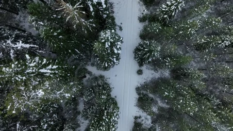 Aerial Drone View of Snow-Covered Road Through Winter Forest Stock Footage 305682669