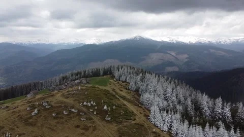 Aerial Drone View of Snow-Covered Forest and Mountain Range in Winter Stock Footage 324632396