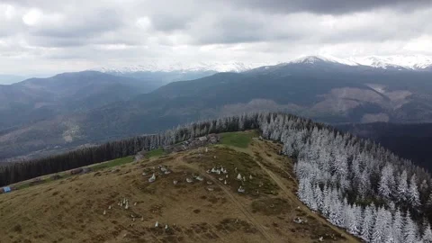 Aerial Drone View of Snow-Covered Trees and Mountain Ridge in the Carpathians Stock Footage 329319905