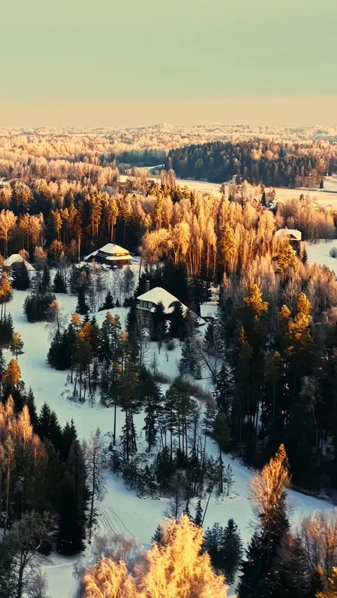 Aerial drone view of snow-covered nordic boreal forest with rural homesteads in Vidéo 334352124
