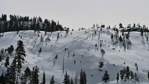 Aerial drone view of a snowy mountain slope dotted with pine trees under Video stock 315638448