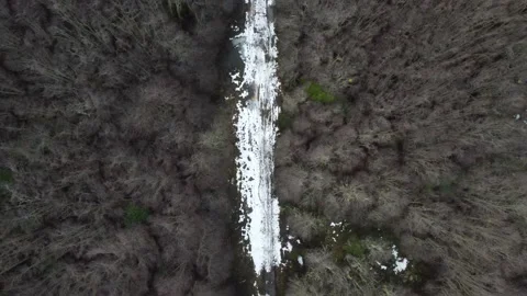 Aerial Drone View of Snowy Path in Winter Forest Retreating Shot Stock Footage 220462980