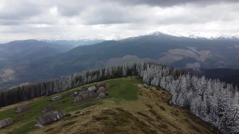 Aerial Drone View of Snowy Pine Forest and Mountain Huts in the Carpathians Stock Footage 327375522