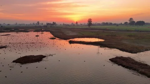 Aerial drone view of soft sunset light painting ripples across the wetland. Stock Footage 310937301