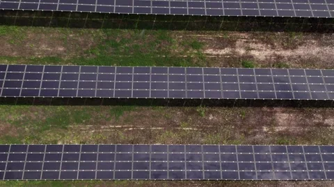 Aerial drone view of a solar panel farm producing clean energy Video stock 343831629