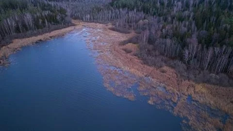 Aerial drone view on the source of the river, a tributary of the river. Autumn Stock Photos