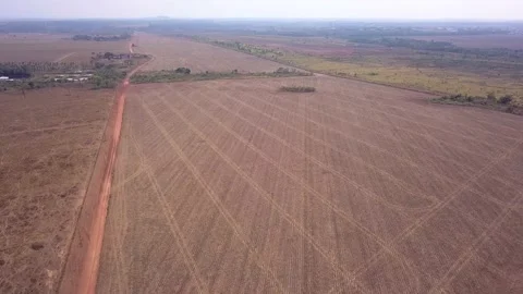 Aerial drone view of soybean farm agriculture plantation in the Amazon. 4K Stock Footage 153279002