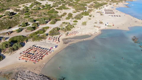 Aerial drone view of straw umbrellas on a sandy beach backed by green dunes Stock Footage 339301833