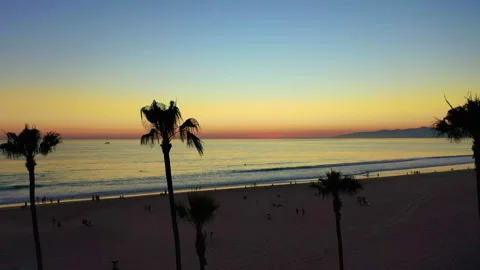 Aerial Drone view of sunset between the palms in Venice Beach Stock Footage 331314172