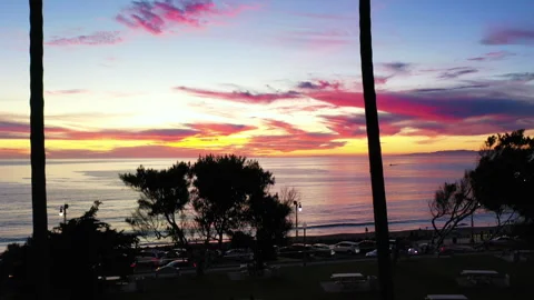 Aerial Drone view of a Sunset Through the Palm Trees Vidéo 330698627