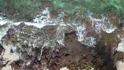 Aerial Drone view of surf and beach at Turtle Bay, Oahu Stock Footage 241281405
