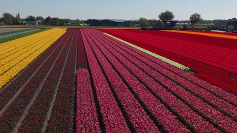 An aerial drone view sweeping across vast patchwork fields filled with neat Stock-Footage 336397965