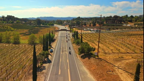 Aerial Drone View of Temecula Valley Wine Country Sign Over Vineyard Road 스톡 동영상 331324847
