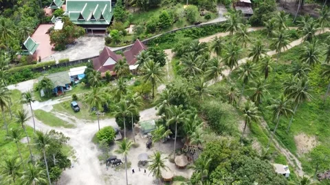 Aerial drone view of Thai elephant shelter care center showing the park 4k Stock Footage 276733366