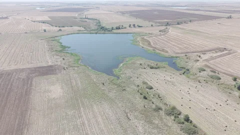 Aerial drone view of three water reservoirs, harvested fields and Zlatari vi Stock Footage 345838500