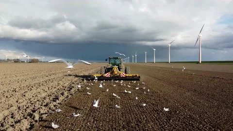 Aerial drone view of tractor landscape raking preparing the soil 4k Stock Footage 225044707
