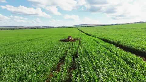 Aerial Drone View of Tractor Spraying Crops in Green Field Stock Footage 329754270