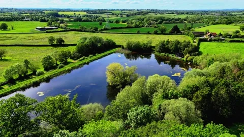 Aerial drone view of a tranquil pond surrounded by lush green trees and fields Stock Footage 343888354