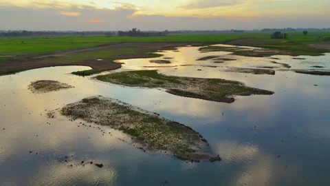 Aerial drone view of tranquil waters bathed in a golden hue. Stock Footage 310936053
