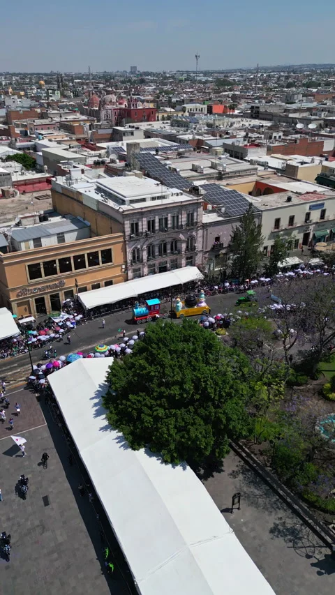 Aerial drone view of a tree lined avenue with traffic in Aguascalientes Stock-Footage 342062359