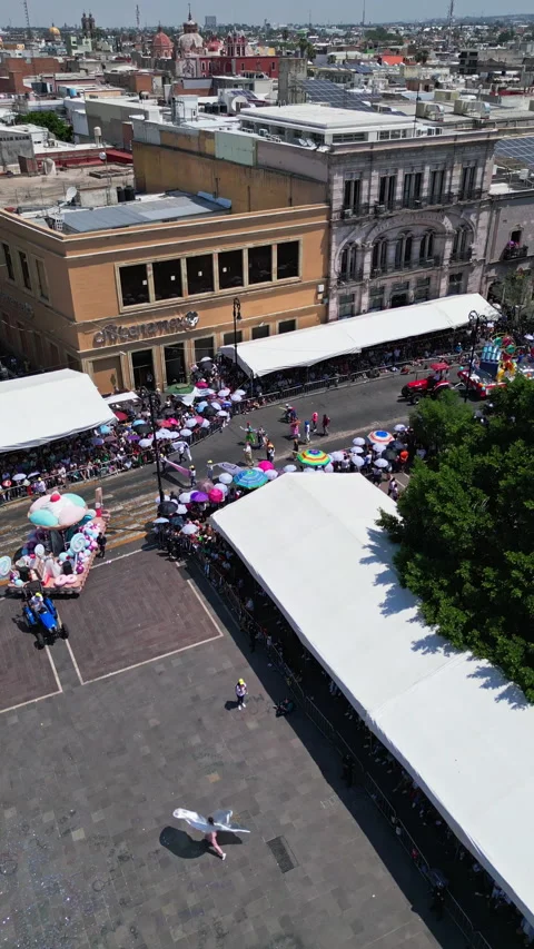 Aerial drone view of a tree lined boulevard with traffic in Aguascalientes 스톡 동영상 342062579