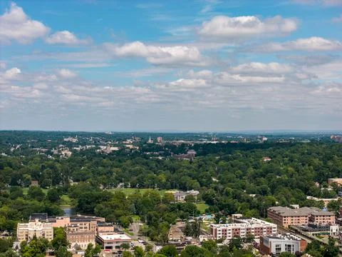 Aerial drone view of tree-lined residential neighborhood with detached homes and Фото