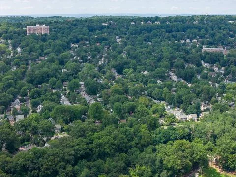 Aerial drone view of tree-lined residential neighborhood with detached homes and Фото