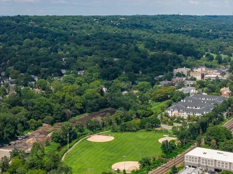 Aerial drone view of tree-lined suburban intersection, nearby homes, and local s Photos