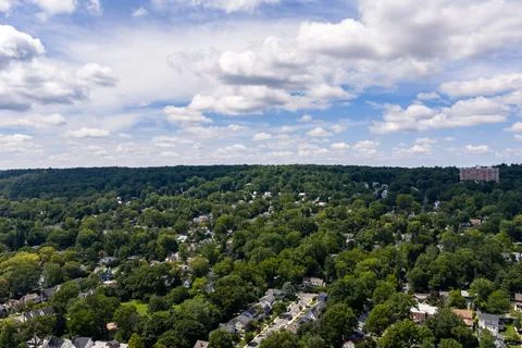 Aerial drone view of tree-lined suburban intersection, nearby homes, and local s Stock-Fotos