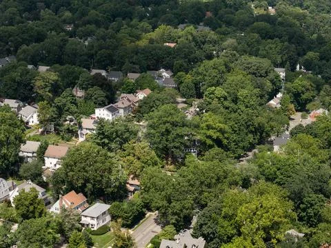 Aerial drone view of tree-lined residential neighborhood with detached homes and Stock-Fotos
