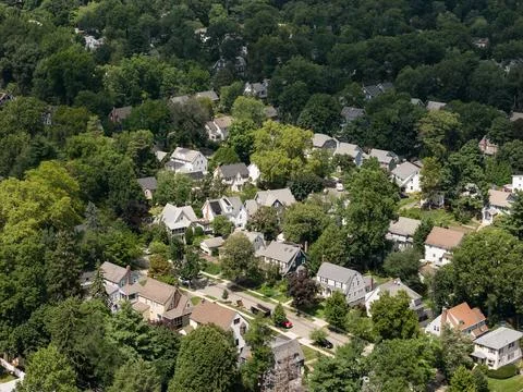Aerial drone view of tree-lined residential neighborhood with detached homes and Stock Photos