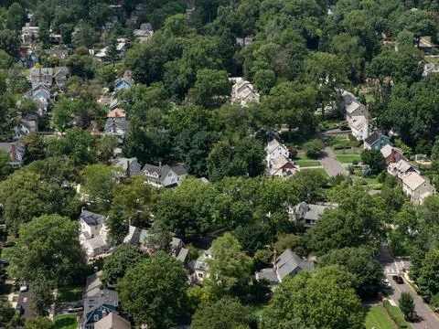 Aerial drone view of tree-lined residential neighborhood with detached homes and Photos