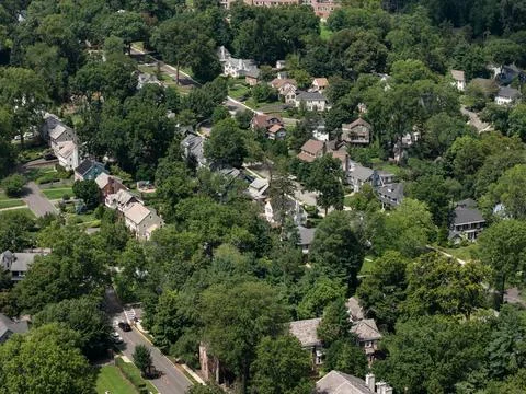 Aerial drone view of tree-lined residential neighborhood with detached homes and 스톡 사진