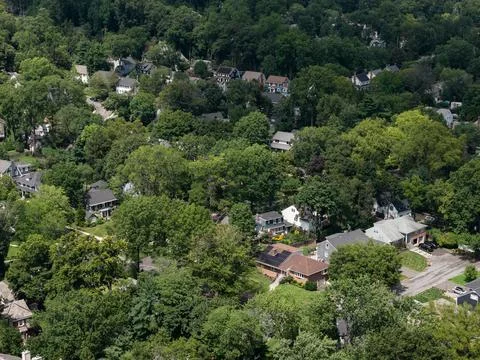 Aerial drone view of tree-lined residential neighborhood with detached homes and Stock-Fotos