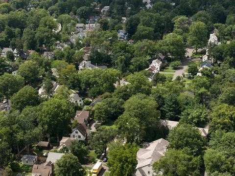 Aerial drone view of tree-lined residential neighborhood with detached homes and Stock-Fotos