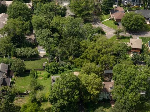 Aerial drone view of tree-lined residential neighborhood with detached homes 스톡 사진