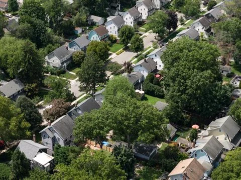Aerial drone view of tree-lined residential neighborhood with detached homes 스톡 사진