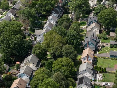 Aerial drone view of tree-lined residential neighborhood with detached homes Фото