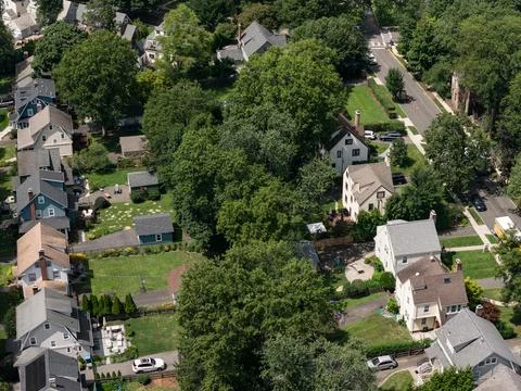 Aerial drone view of tree-lined residential neighborhood with detached homes Фото