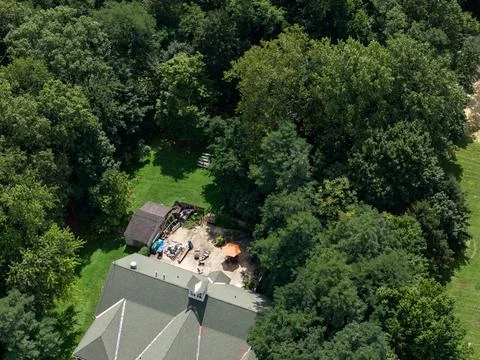 Aerial drone view of tree-lined residential neighborhood with detached homes 스톡 사진